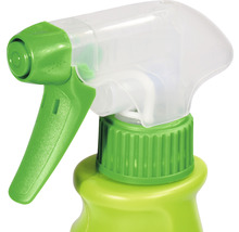 Sprühflasche mit Sprühkopf
