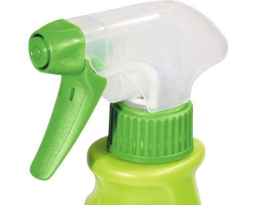 Sprühflasche mit Sprühkopf
