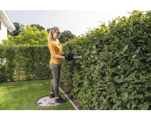 Frau schneidet Hecke mit Heckenschere im Garten.