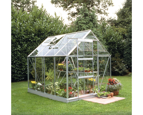 Gewächshaus Halls Popular 86 Blankglas 3 mm 193 x 257 cm inkl. Fundament silber Gewächshaus mit Pflanzen im Garten.