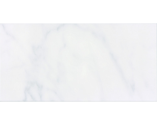 Steingut Wandfliese Carrara 30x60 cm grau