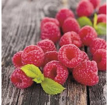 Nahaufnahme von Himbeeren mit Blättern auf Holz