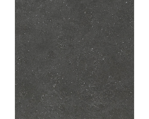 Feinsteinzeug Bodenfliese Alpen 60x60 cm graphit matt