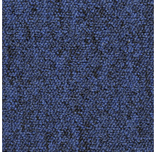 Blauer Teppichboden