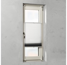 Fenster mit Plissee-Rollo zur Fensterdekoration und zum Sichtschutz