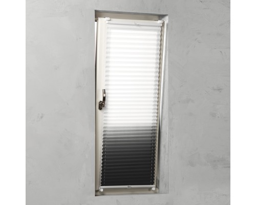 Plissee-Rollo am Fenster zur Lichtregulierung und als Sichtschutz