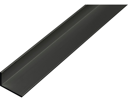 Winkelprofil Alu eloxiert 20x10x1 mm, 2 m schwarz