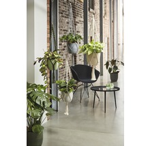 Helle, freundliche Inneneinrichtung mit Hängepflanzen in Makramee-Haltern, einem Stuhl und einem Tisch.