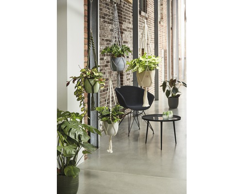 Helle, freundliche Inneneinrichtung mit Hängepflanzen in Makramee-Haltern, einem Stuhl und einem Tisch.