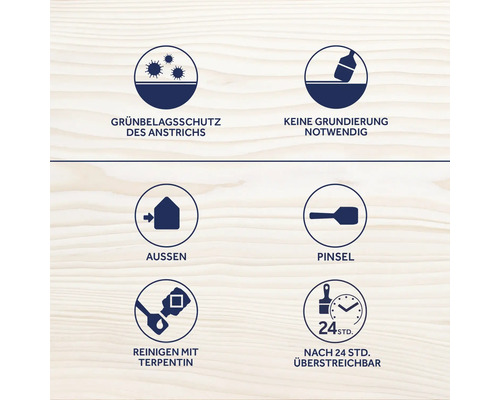 Symbole und Siegel für Produkteigenschaften: Grünbelagsschutz, keine Grundierung notwendig, Aussenanwendung, Pinsel, Reinigung mit Terpentin, nach 24 Stunden überstreichbar