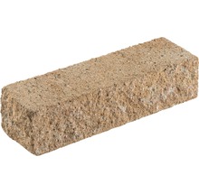 Einzelner Pflasterstein aus Beton