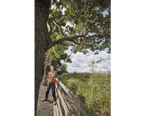 Eine Person mit Schutzkleidung benutzt eine Hochentaster, um Äste von einem Baum zu schneiden.