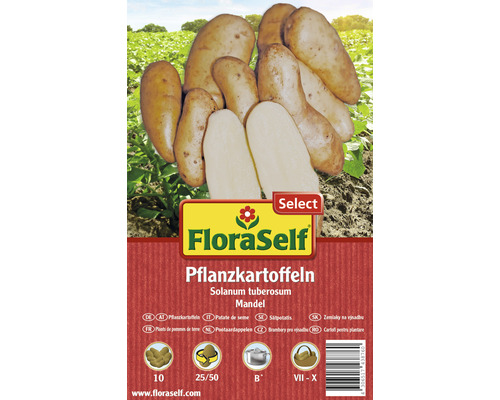 Pflanzkartoffel FloraSelf Select 'Mandel' 10 Stk
