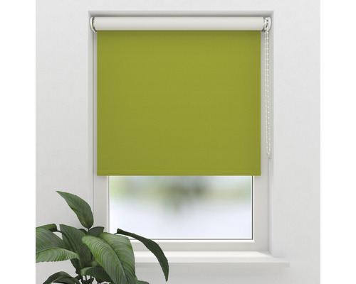 Grüne Fensterrollo im geschlossenen Zustand