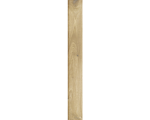 Feinsteinzeug Sockelfliese Wald 7,5x62 cm beige matt Holzdekorelement für den Innenausbau