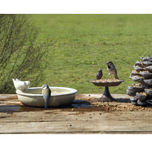Szene mit Vogeltränke, Futterstelle und Vögeln im Garten