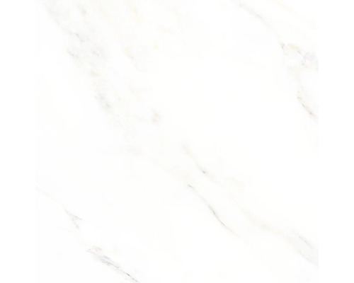 Feinsteinzeug Bodenfliese Premium Calacatta 60x60 cm weiß glänzend