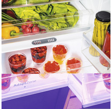 Innenraum eines Kühlschranks mit Gemüse, Obst und eingelegten Produkten.