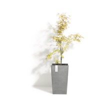 Pflanzvase Rotterdam Medium High Kunststoff 30x30x50 cm grau