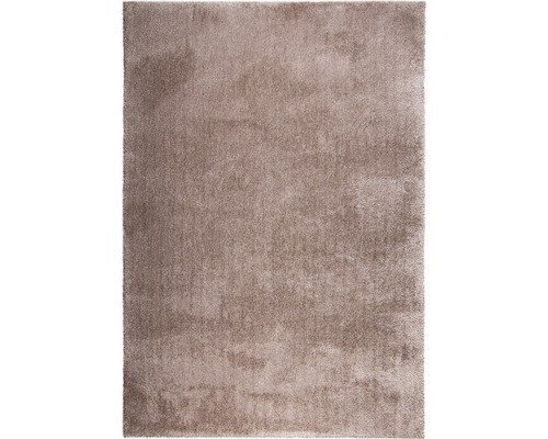 Teppich Shaggy Wellness taupe 160x230 cm