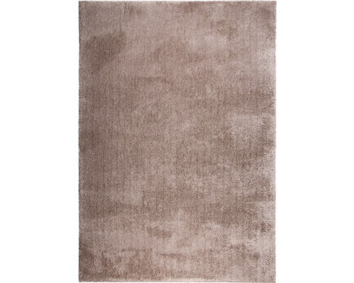 Teppich Shaggy Wellness taupe 140x200 cm