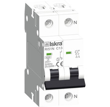 Iskra Leitungsschutzschalter RI51N C13