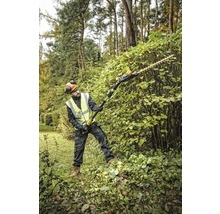 Ein Mann schneidet mit einer Akku-Teleskop-Heckenschere eine Hecke im Garten.