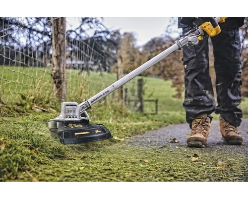 Aufsicht einer Person beim Rasentrimmen mit einem akkubetriebenen Rasentrimmer