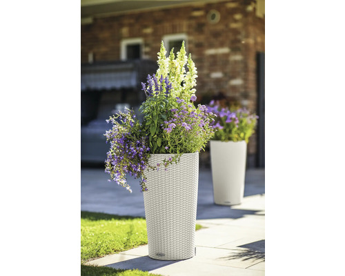 Hoher Pflanzkübel aus Kunststoff mit Blumen bepflanzt