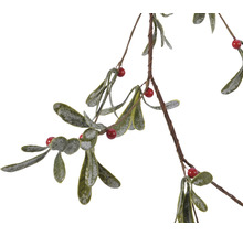 Mistelzweig mit Blättern und Beeren