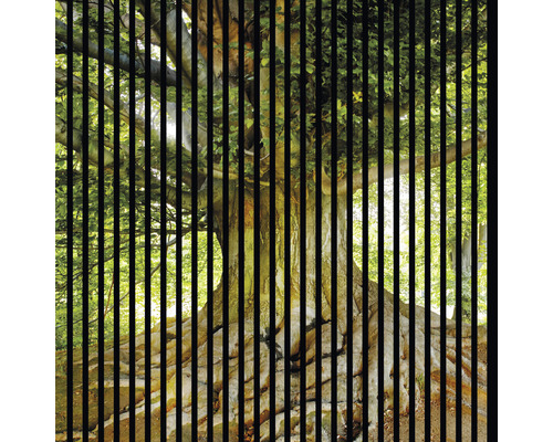 Akustikpaneel digital bedruckt Baum 1 19x1133x1195 mm Set = 2 Einzelpaneele
