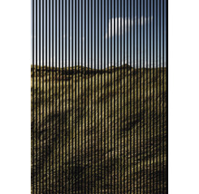 Akustikpaneel digital bedruckt Gras 1 19x1693x2400 mm Set = 3 Einzelpaneele