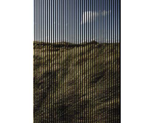 Akustikpaneel digital bedruckt Gras 1 19x1693x2400 mm Set = 3 Einzelpaneele Akustikpaneel digital bedruckt Gras 1 19x1693x2400 mm Set = 3 Einzelpaneele