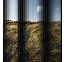 Darstellung einer Dünenlandschaft mit Gras und blauem Himmel