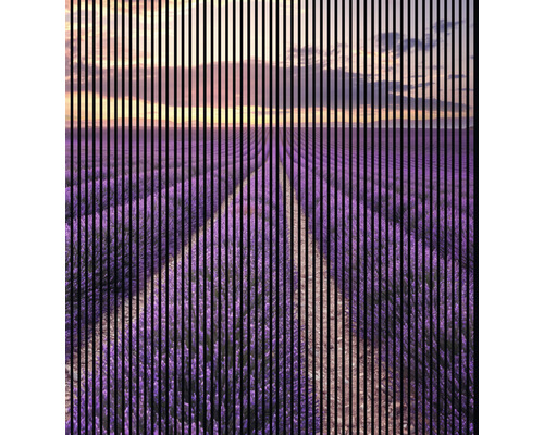 Akustikpaneel digital bedruckt Lavendel 1 19x2253x2400 mm Set = 4 Einzelpaneele