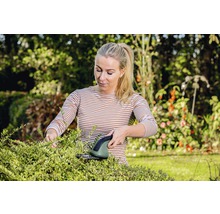 Frau schneidet Hecke mit einer Strauchschere im Garten