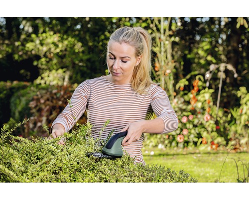 Frau schneidet Hecke mit einer Strauchschere im Garten