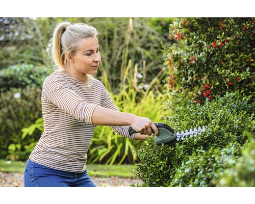 Frau schneidet Hecke mit einer Akku-Heckenschere