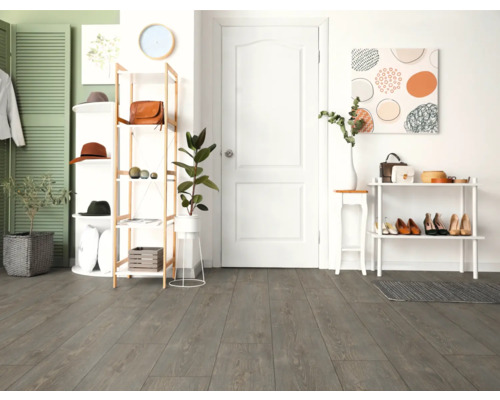 Heller Flur mit Holzfußboden, Schuhregal und Dekoration