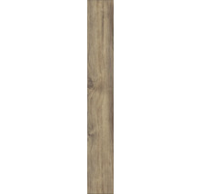 Laminatboden SwissKrono 12.0 50182 CINEREA NATUR ROBUSTO-thumb-3 Laminatboden SwissKrono 12.0 50182 CINEREA NATUR ROBUSTO-thumb-3