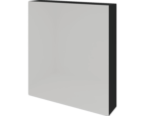 Spiegelschrank Sanox 1-türig 60x13x65 cm schwarz matt