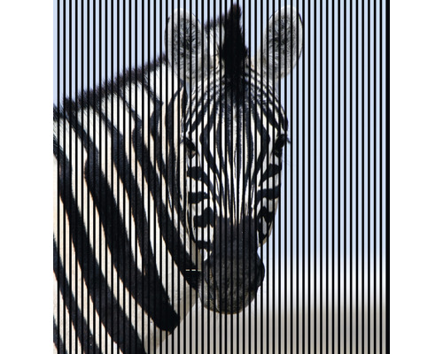 Akustikpaneel digital bedruckt Zebra 1 2400 x 2253 x 19 mm Set = 4 Einzelpaneele Akustikpaneel digital bedruckt Zebra 1 2400 x 2253 x 19 mm Set = 4 Einzelpaneele