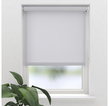 Fenster mit Rollo zur Lichtregulierung