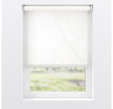 Fenster mit Lichtdurchlässigem Rollo