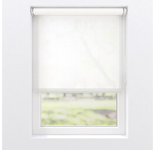 Weißes Rollo am Fenster zur Lichtsteuerung und zum Schutz der Privatsphäre