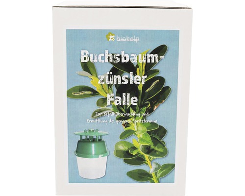 Buchsbaumzünsler-Trichterfalle