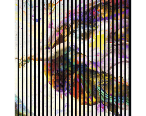 Akustikpaneel digital bedruckt Michelangelo 1 19x1133x1195 mm Set = 2 Einzelpaneele