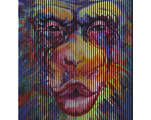 Akustikpaneel digital bedruckt Monkey 1 19x2253x2400 mm Set = 4 Einzelpaneele