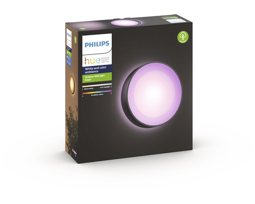 Verpackung einer Philips Hue Daylo Outdoor Wandleuchte
