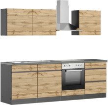 Küchenzeile mit Spüle, Herd, Backofen, Dunstabzugshaube und Hängeschränken